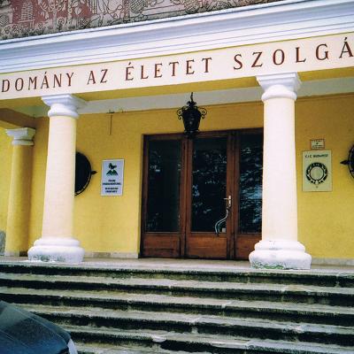 Budakeszi, erdészet